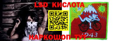 амф Коммунар