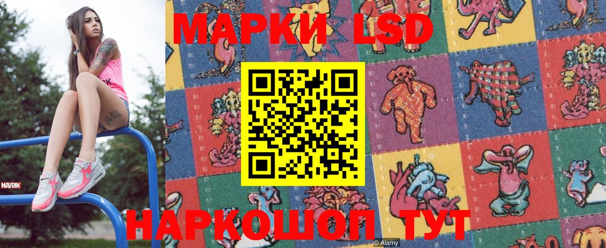 Наркотические марки 1,5мг  Вход с VPN  Карачаевск 