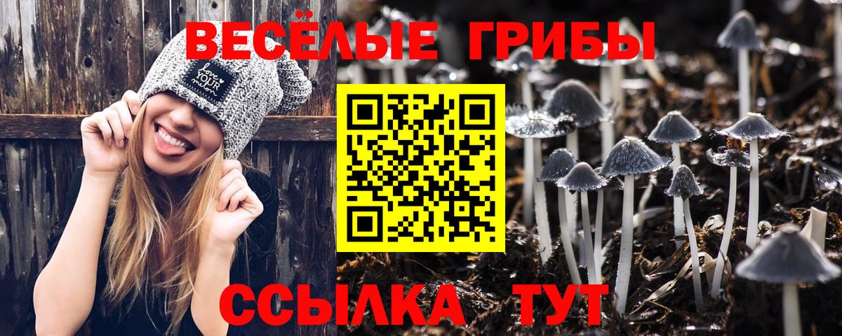 Галлюциногенные грибы GOLDEN TEACHER  Вход с VPN  Псилоцибиновые грибы Psilocybine cubensis  Карачаевск 